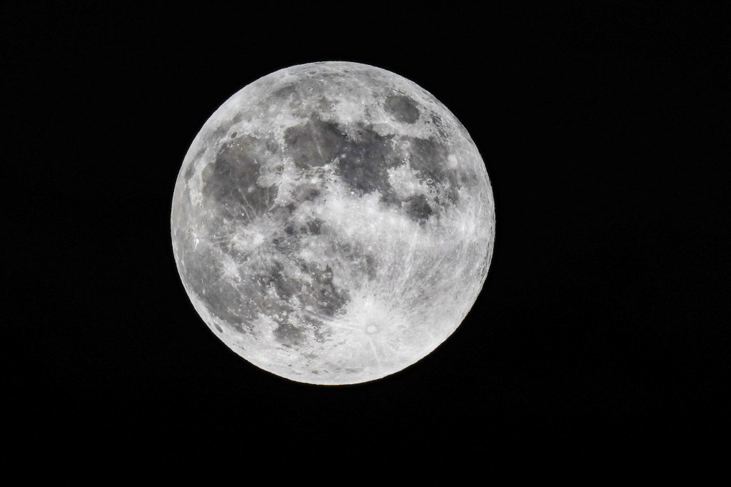 Moonlight and Medicine: A mother's leap of faith after prolactinoma silences her cycle