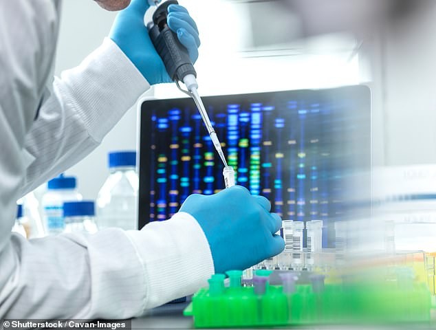 Qué encontró exactamente: 348 variantes no parentales y evidencia que descarta CRISPR