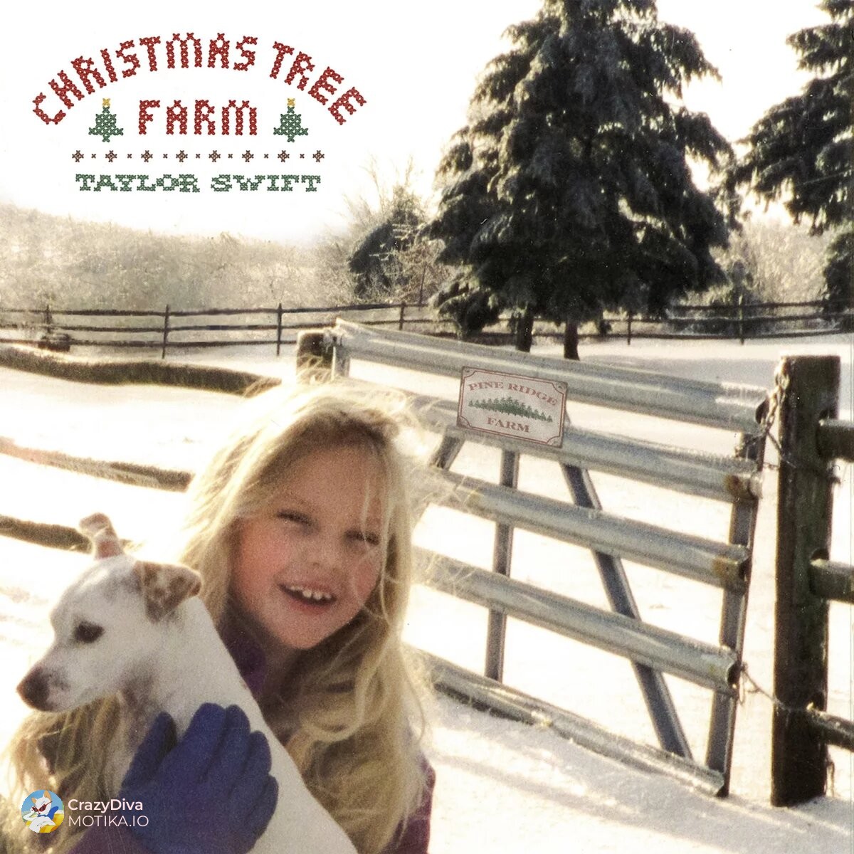 Скромни почетоци – од божиќната фарма до првата инспирација за хит