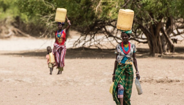Turkana: una dieta de carne, leche y sangre que les permite prosperar en uno de los desiertos más secos de la Tierra