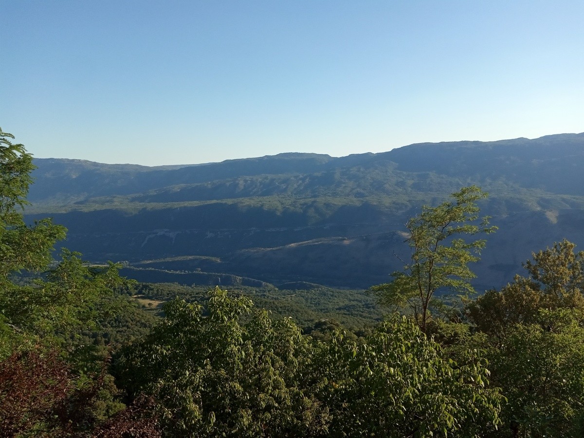 Историски контекст и улогата на митрополитот Василиј