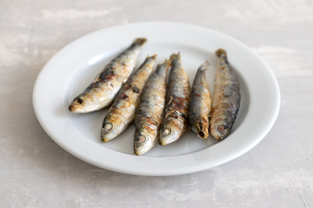 Sardinas: la proteína marina que llega en lata y podría cambiar tu salud