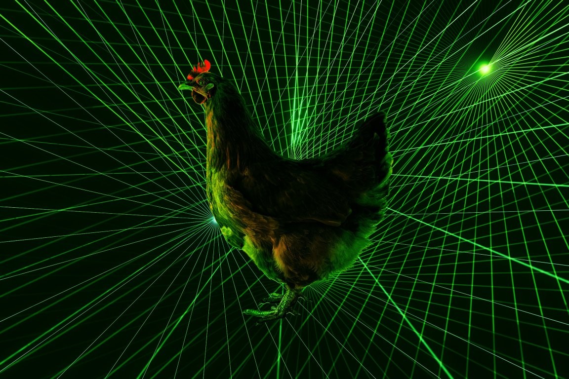 Laser gegen Vogelgrippe: Japans Drohnen testen eine brandneue Waffe für die Tierhaltung