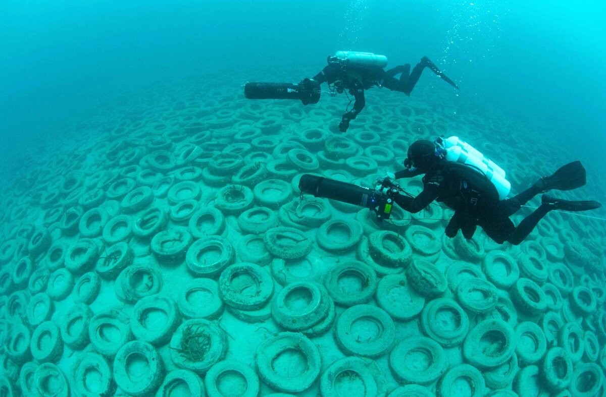 Millones de llantas bajo el agua: dos millones lanzadas frente a la costa de Florida para crear un arrecife artificial