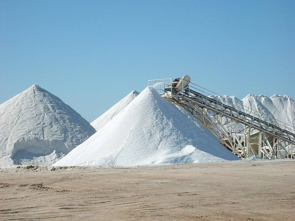 Fleur de Sel: The Flower of Salt