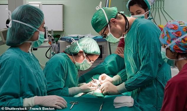 Transplante vivo de fígado de porco em humano: promessa que brilha — e dilemas que se revelam