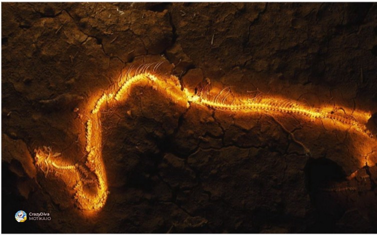 Зошто истражувањата се запрени и што крие иднината на оваа бездна?