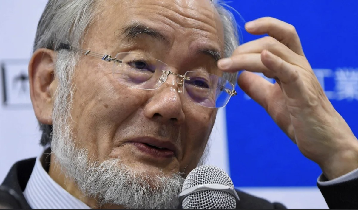 Pour éviter le cancer, l'obésité et la maladie d'Alzheimer : Yoshinori Ohsumi a reçu le prix Nobel pour une découverte qui transforme notre vision de l'alimentation