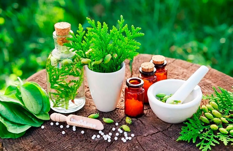 De la sagesse antique au laboratoire moderne : le voyage des plantes