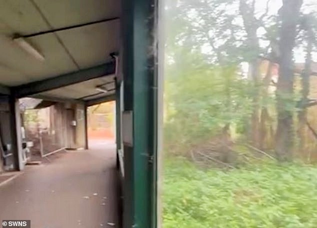 Inside the abandoned grounds: what the footage shows