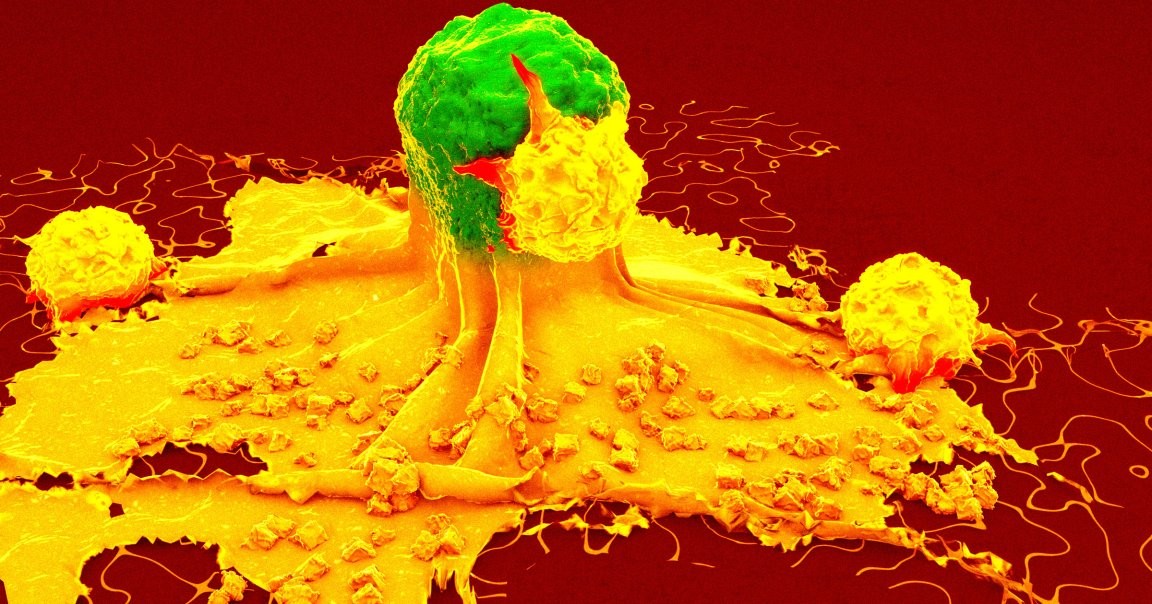 Una vacuna nanoparticulada podría detener varios tipos de cáncer —y ya funciona en ratones, con resultados que asustan