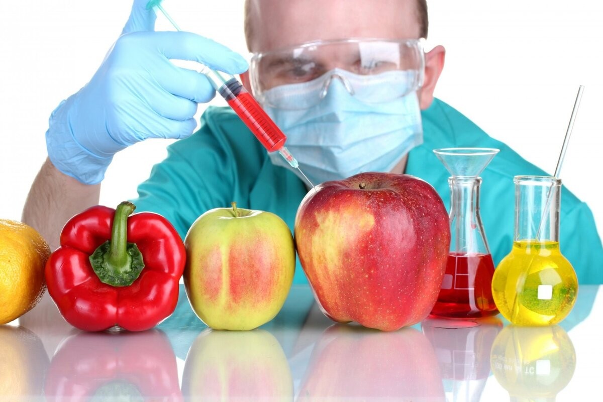 GMOs: What they are and why critics fear them.