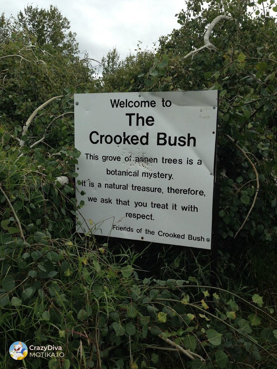 Легенди и научни мистерии: од пад на метеорит до експерименти со молњи и дури и приказни за вонземјани