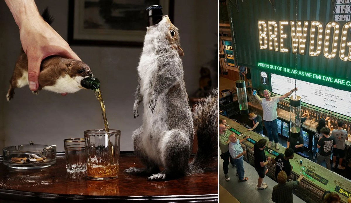 Најскапото пиво