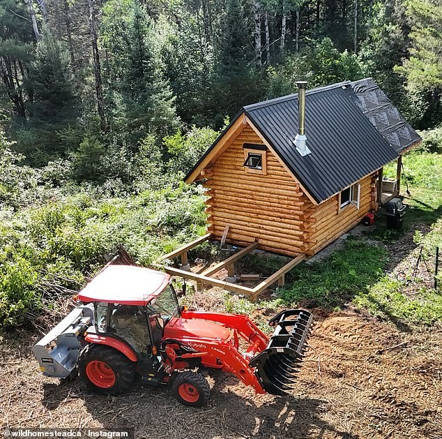 Why he left celebrity life to build a homestead: the search for health, space, and freedom