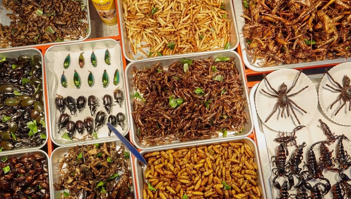 Economia ao extremo na China: vermes de farinha em casa viram comida e símbolo de uma vida de bolso apertado