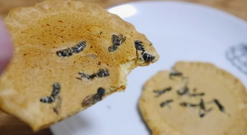 线上省钱联盟与日常自我克制