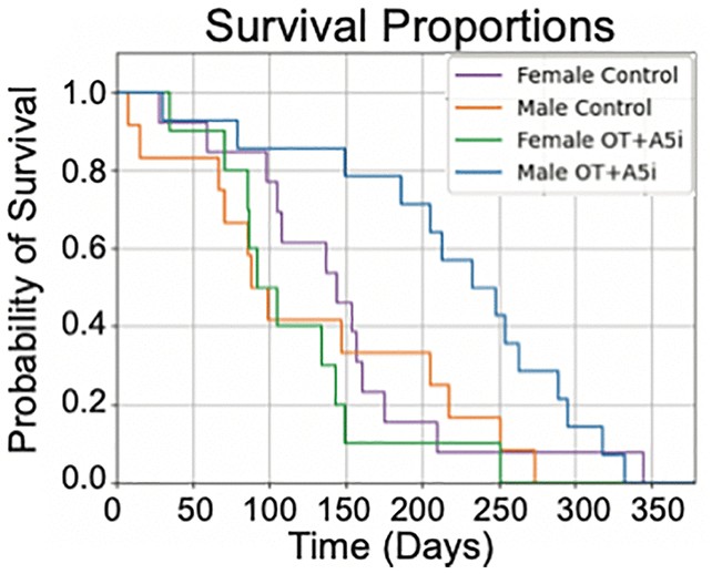为何只对雄性有效？性别差异的线索与未解之谜