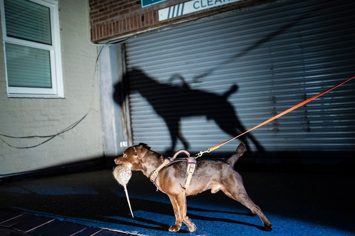 Minneapolis, USA: Citizens Take the Fight Into Their Streets