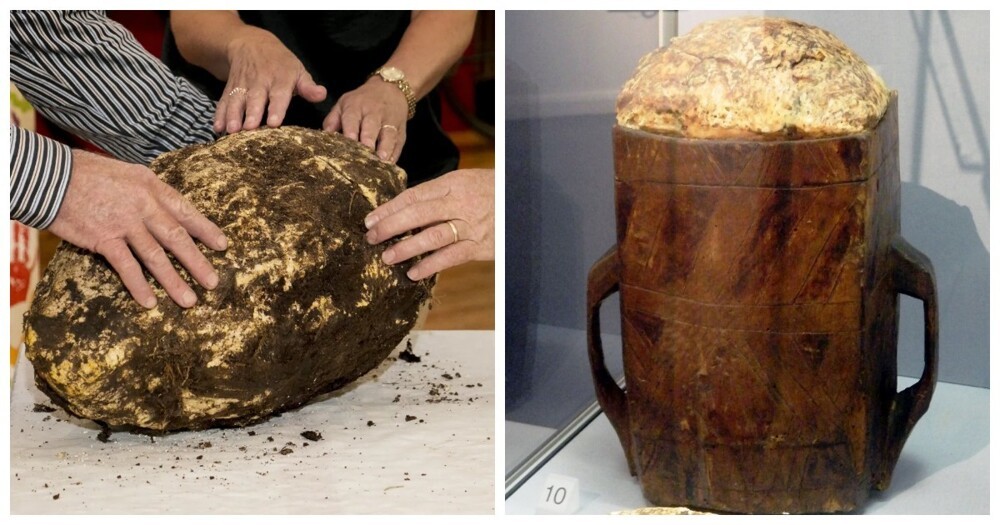 沼泽的香气：沉睡的油脂会变成什么味道？