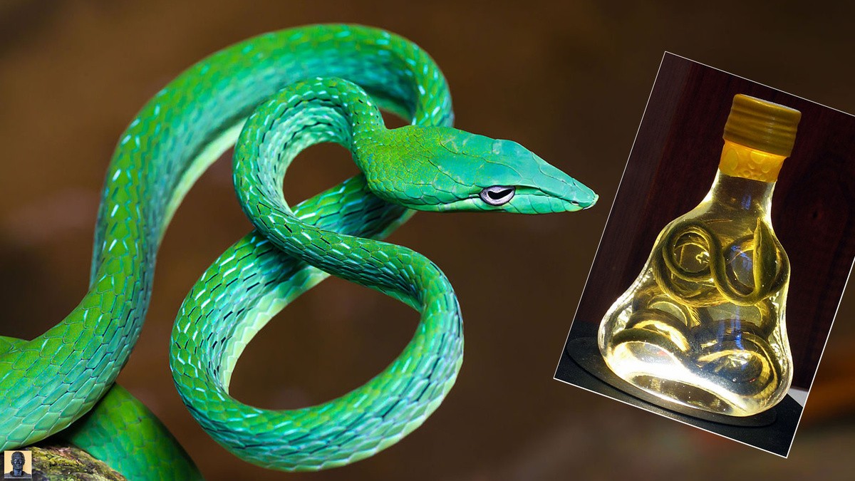 Змиско виски, Тајланд