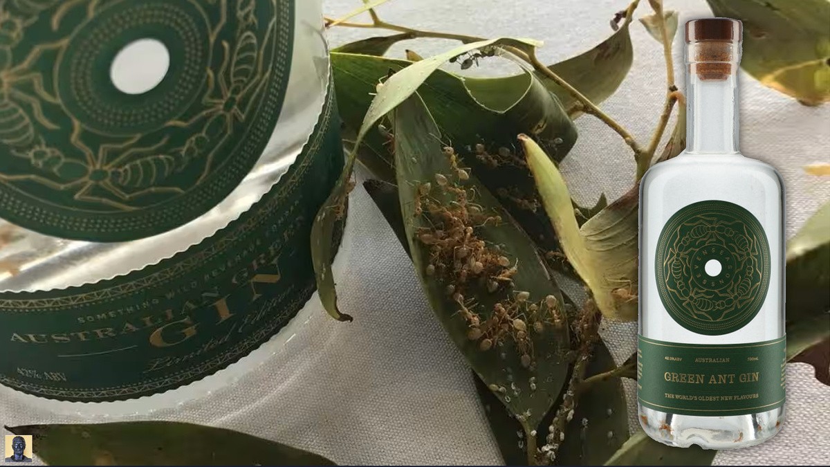 Џин со мравки – Англија/Австралија