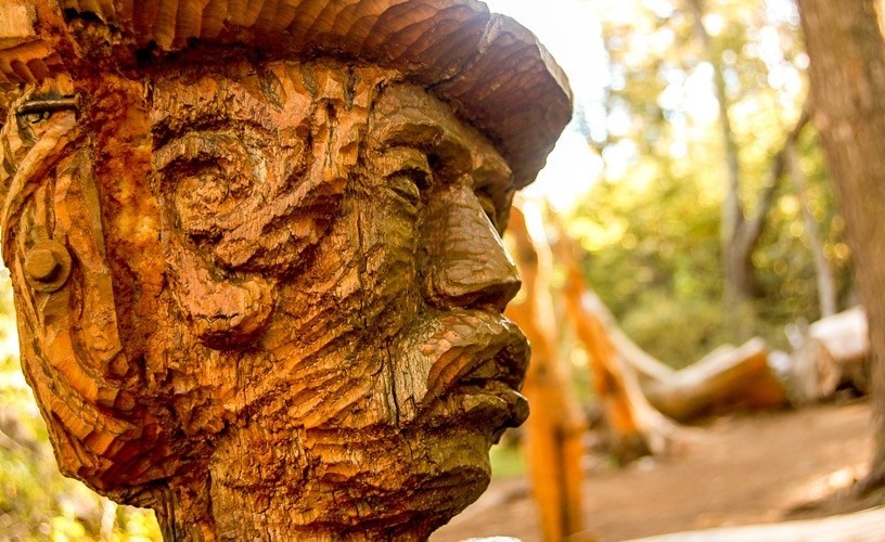 Bosque Tallado: árvores mortas, uma vida que volta a nascer — o museu ao ar livre que encanta a Patagônia