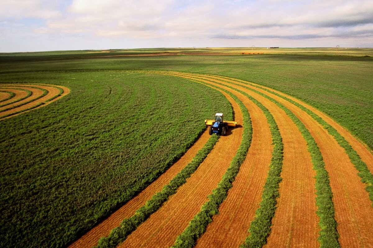 Lessons from the Wheat Years: Subsidies, Self-Sufficiency, and Export