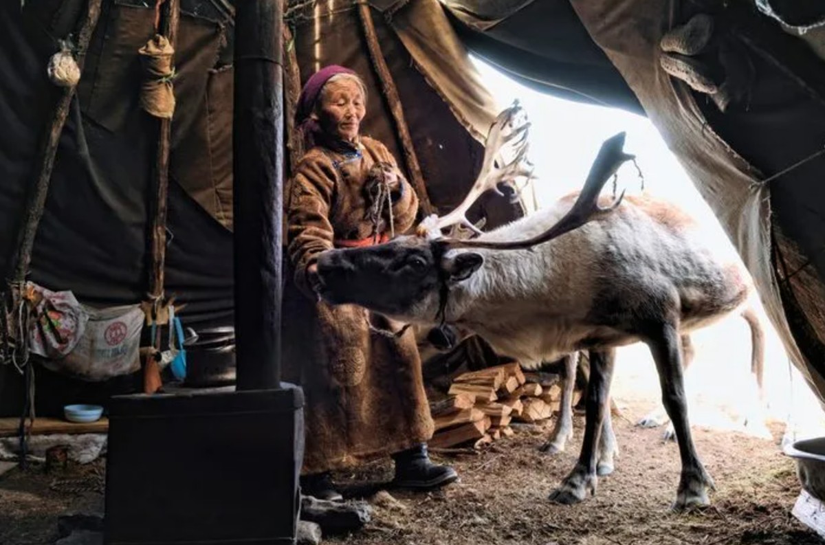 Чумот е совршен одговор за живот во сурови услови со долгa темна и студена зима