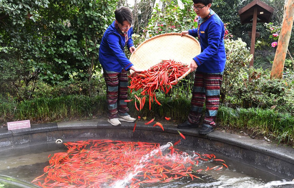 Two broths, one tub: Red chili and White milk pools explained