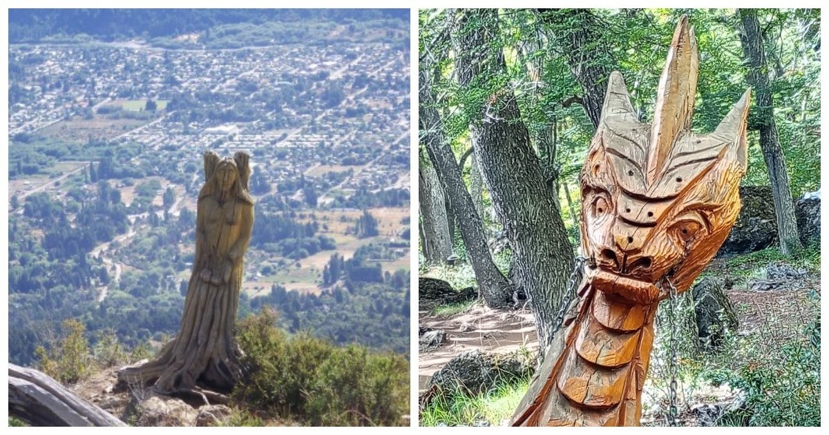 Sur les pentes brûlées, un musée à ciel ouvert réanime les arbres morts