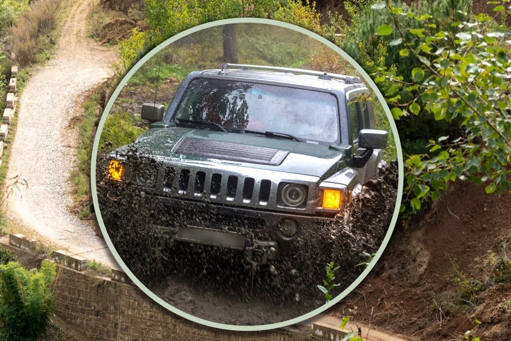 Син ја прегази својата мајка во Кина за да добие пари од осигурување, но наместо тоа доби смртна казна