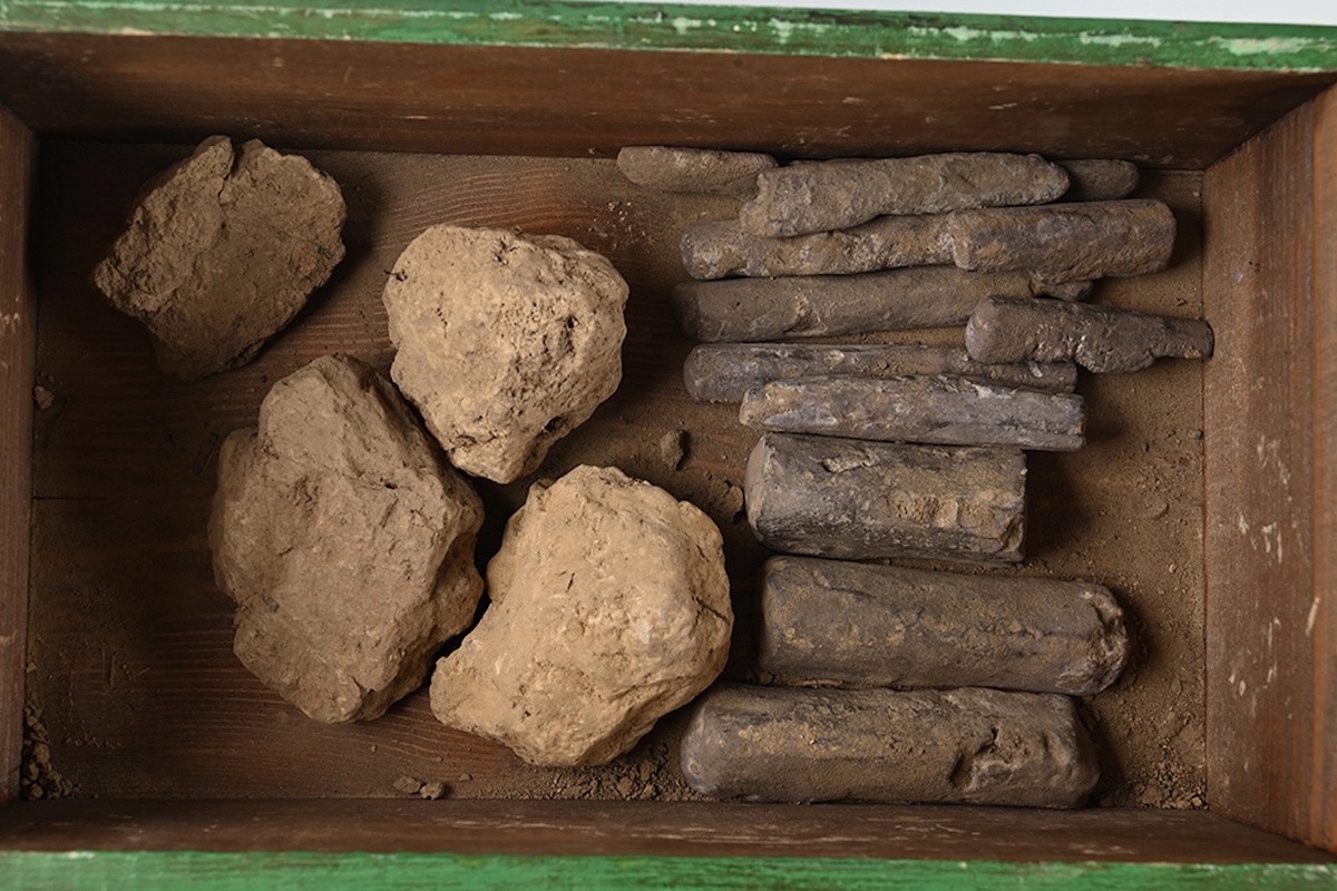 From Illicit Detectorist to Historian Partner — Jannik's New Chapter