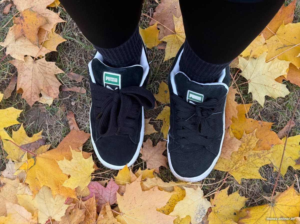 Екстремниот тест: тренинг по хип-хоп ги „уби“ патиците, влагата уште полош непријател, формата страда