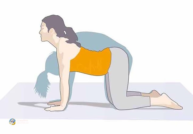 Лесни утрински истегнувања: од врат до стапала, „Cat-cow“ и мостови за флексибилен р’бет