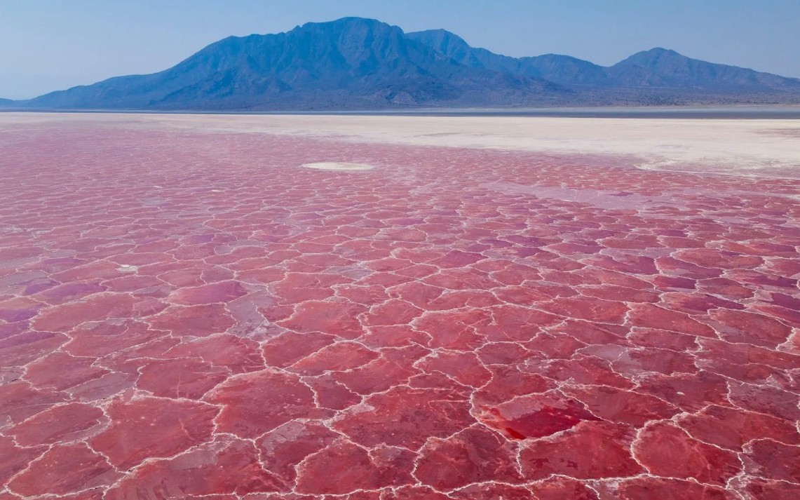Езерото Натрон, Танзанија – Наизглед магично, всушност смртоносно кисело огледало