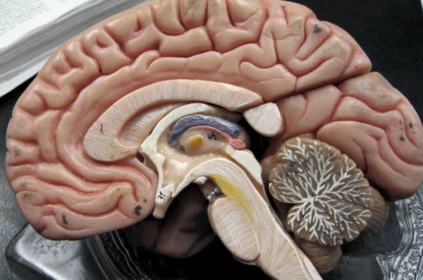 Militaries are said to be using signals, base stations and nanotech to control minds; the neurointerface era looms