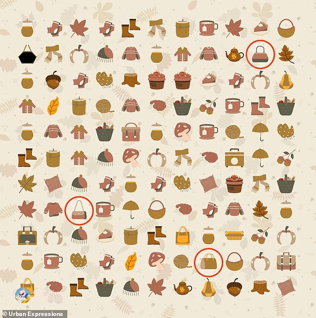 Не успевате? Еве како да ги пронајдете сите скриени чанти