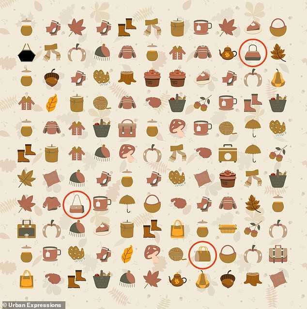 Autumn Handbag Hunt Delivers a 10-Second Mind Test for Fashion Fans