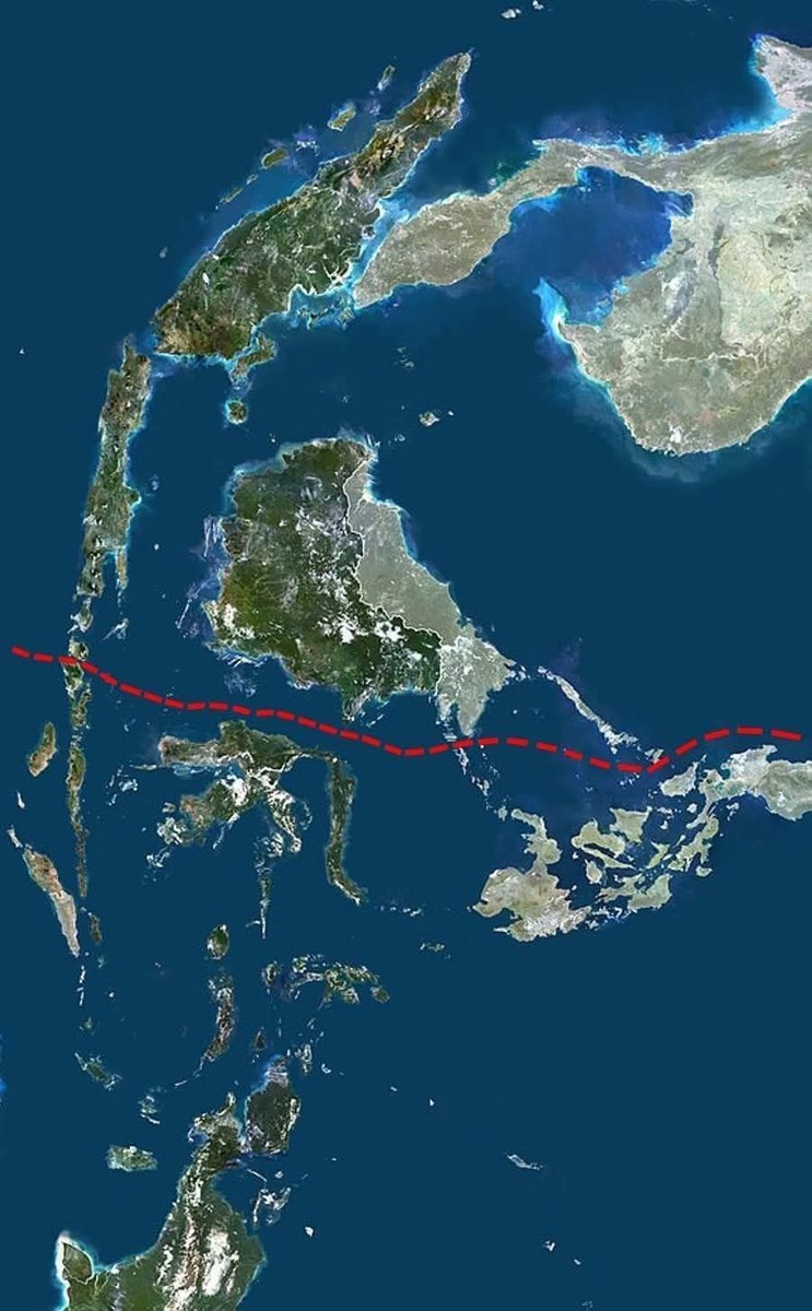 Линијата Волас – Зошто живиот свет е разделен од невидлива бариера повеќе од 30 милиони години?