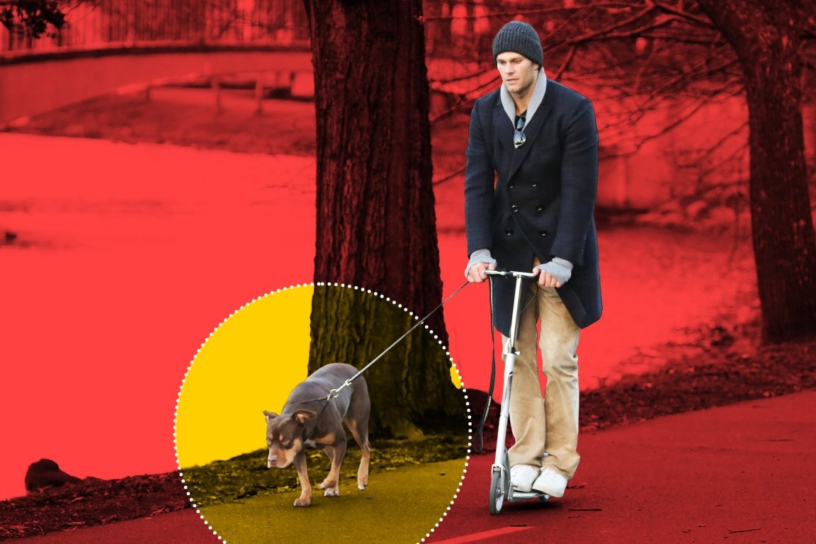 Tom Brady rivela che il suo cane è un clone creato da Colossal Biosciences