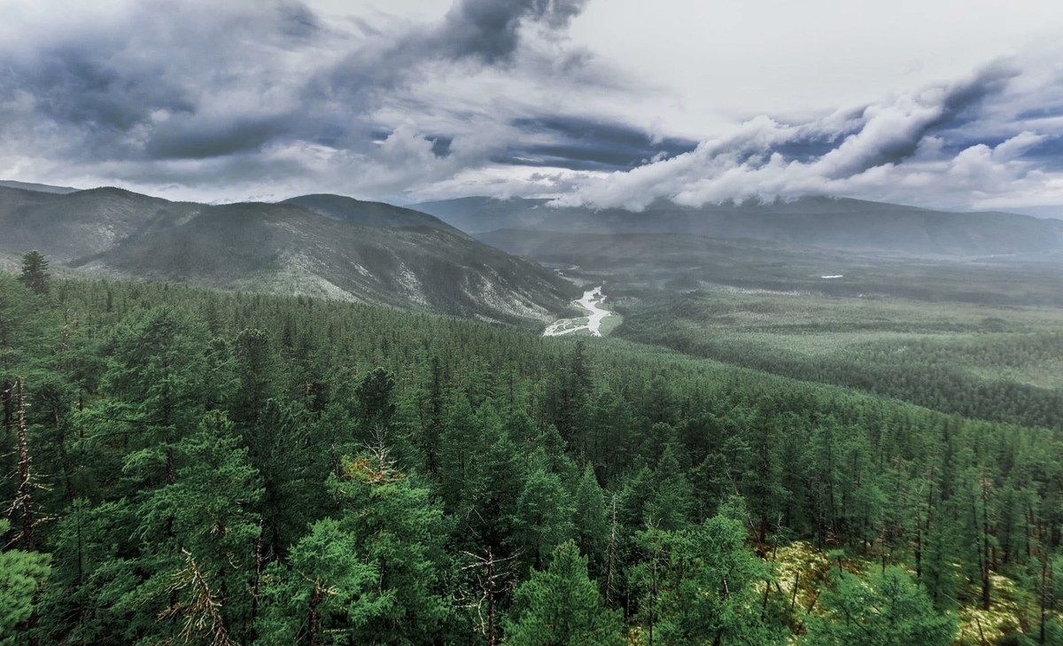 Why Siberia Now A Region on the Rise