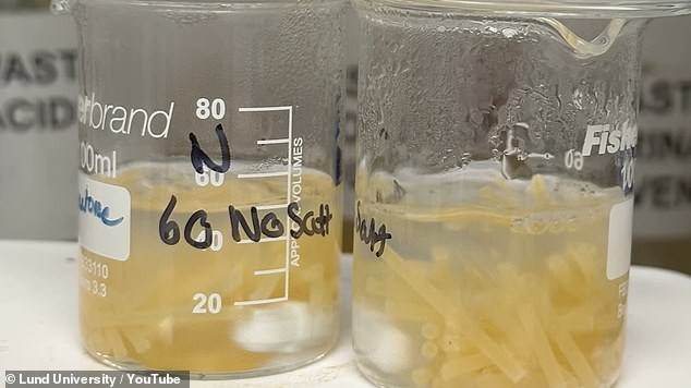 Amido resistente e raffreddamento utile: una pasta più sana e gustosa grazie al raffreddamento