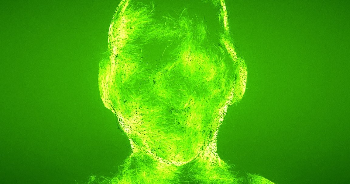 Złośliwe oprogramowanie uczy się AI przepisywać własny kod i uciekać przed wykryciem