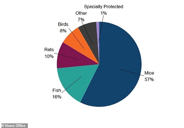 Una tradizione secolare e cifre recenti