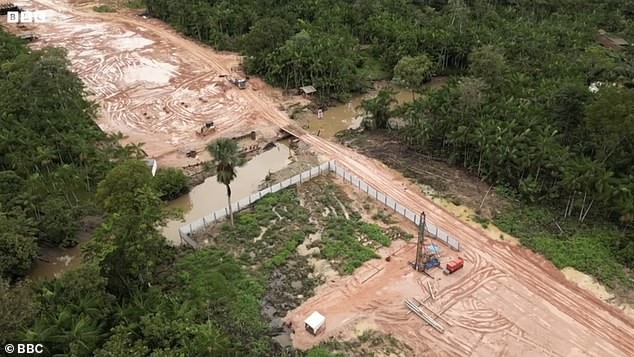 Aufschrei über Amazonas-Abholzung für COP30 – 100.000 Bäume gefällt