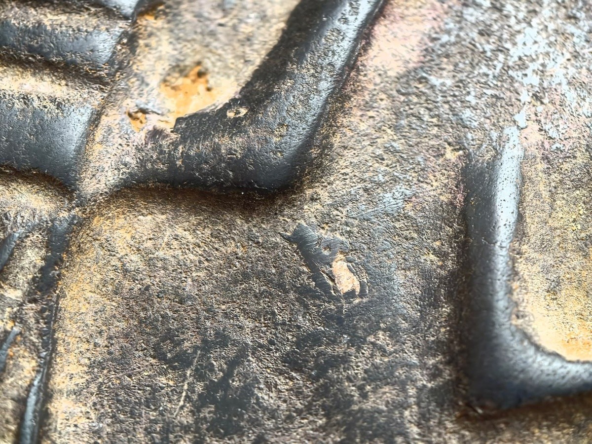 Истражувањето на камениот диск инспирира нови теории, а видеоматеријалот на Иља покренува дискусии меѓу истражувачите