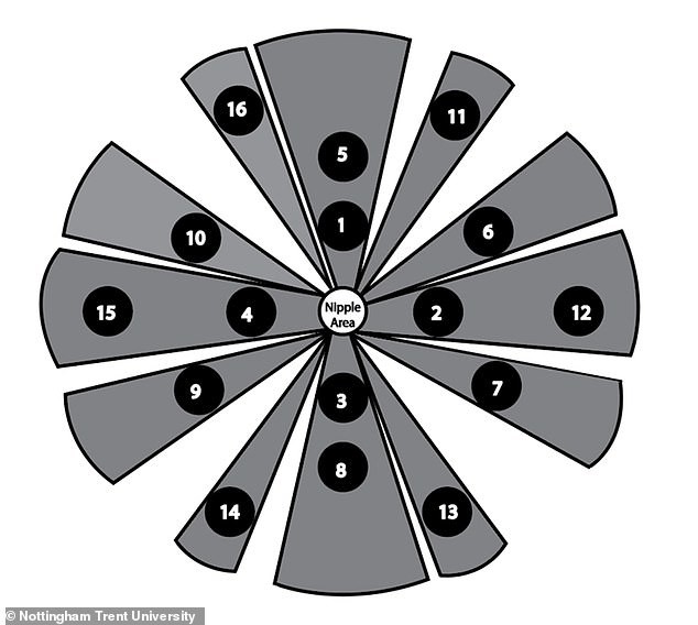 Pode um sutiã detectar câncer de mama de verdade? Dispositivo 'smart' desenvolvido por cientistas britânicos pode identificar a doença num grupo específico de mulheres