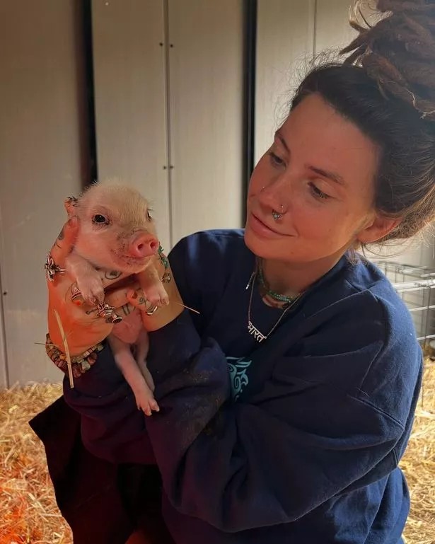 Фармата на Индика: Соларни панели, органски градини и центар за креативност во индустријата за возрасни