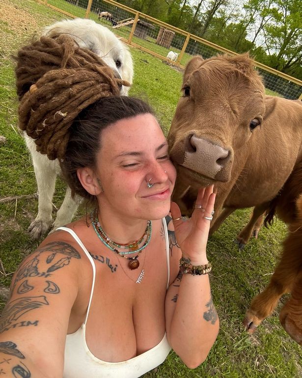 Une ferme de 4,05 hectares, solaire et autosuffisante, avec jardins bio et récupérateurs d'eau